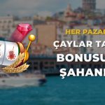 Anadolu Casino Canlı Destek, Müşteri Hizmetleri ve Yardım